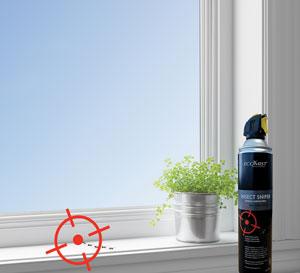 How to keep ants out