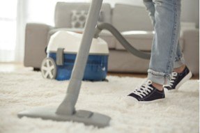 5 ways to stop the flea cycle