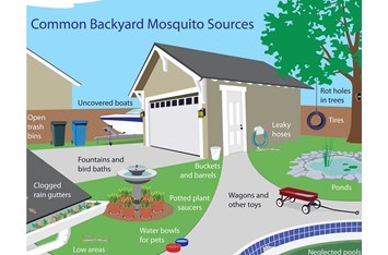 How to Keep Mosquitoes away from your Home